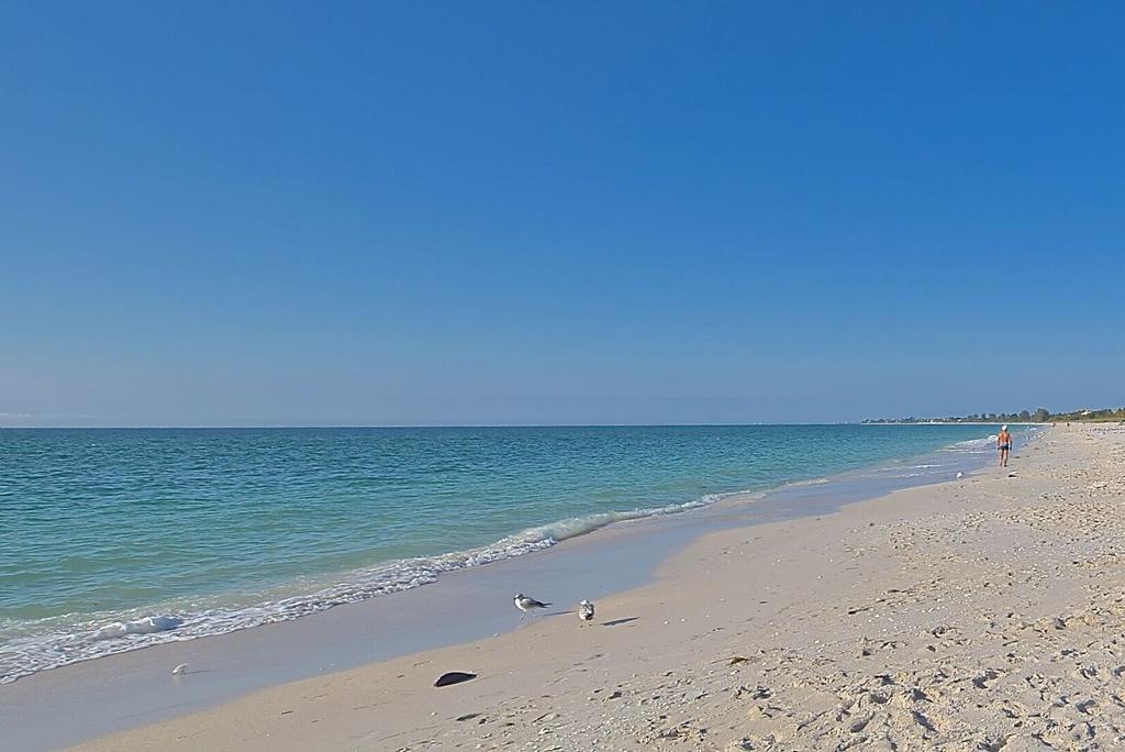 A Beach Retreat On Casey Key Nokomis Esterno foto